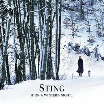Sting_winter_night